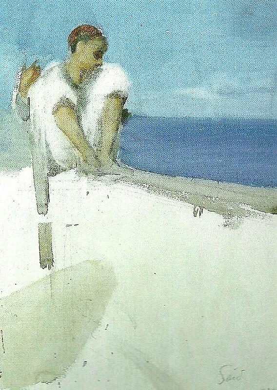 Anders Zorn zornsamlingarna